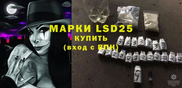 прущие грибы Абдулино