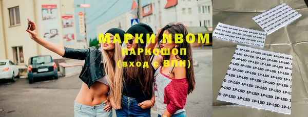 прущие грибы Абдулино