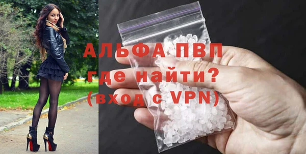 прущие грибы Абдулино